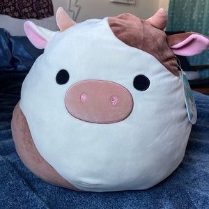 16” NWT ronnie squishmallow